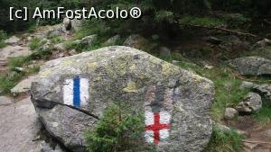 [P04]  -- <small>// FĂRĂ DESCRIERE</small> » foto by vladix18
 - 
<span class="allrVoted glyphicon glyphicon-heart hidden" id="av779300"></span>
<a class="m-l-10 hidden" id="sv779300" onclick="voting_Foto_DelVot(,779300,3180)" role="button">șterge vot <span class="glyphicon glyphicon-remove"></span></a>
<a id="v9779300" class=" c-red"  onclick="voting_Foto_SetVot(779300)" role="button"><span class="glyphicon glyphicon-heart-empty"></span> <b>LIKE</b> = Votează poza</a> <img class="hidden"  id="f779300W9" src="/imagini/loader.gif" border="0" /><span class="AjErrMes hidden" id="e779300ErM"></span>