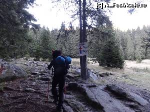 [P01] Intrarea in traseul Poiana Pelegii-lacul Bucura » foto by wolf2001*
 - 
<span class="allrVoted glyphicon glyphicon-heart hidden" id="av689145"></span>
<a class="m-l-10 hidden" id="sv689145" onclick="voting_Foto_DelVot(,689145,3180)" role="button">șterge vot <span class="glyphicon glyphicon-remove"></span></a>
<a id="v9689145" class=" c-red"  onclick="voting_Foto_SetVot(689145)" role="button"><span class="glyphicon glyphicon-heart-empty"></span> <b>LIKE</b> = Votează poza</a> <img class="hidden"  id="f689145W9" src="/imagini/loader.gif" border="0" /><span class="AjErrMes hidden" id="e689145ErM"></span>