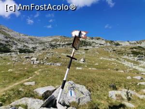 [P18] Hal de indicatoare turistice » foto by Marius 72
 - 
<span class="allrVoted glyphicon glyphicon-heart hidden" id="av1245672"></span>
<a class="m-l-10 hidden" id="sv1245672" onclick="voting_Foto_DelVot(,1245672,3180)" role="button">șterge vot <span class="glyphicon glyphicon-remove"></span></a>
<a id="v91245672" class=" c-red"  onclick="voting_Foto_SetVot(1245672)" role="button"><span class="glyphicon glyphicon-heart-empty"></span> <b>LIKE</b> = Votează poza</a> <img class="hidden"  id="f1245672W9" src="/imagini/loader.gif" border="0" /><span class="AjErrMes hidden" id="e1245672ErM"></span>