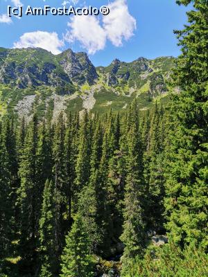 [P02] Pădurile verzi ale României » foto by Marius 72
 - 
<span class="allrVoted glyphicon glyphicon-heart hidden" id="av1245656"></span>
<a class="m-l-10 hidden" id="sv1245656" onclick="voting_Foto_DelVot(,1245656,3180)" role="button">șterge vot <span class="glyphicon glyphicon-remove"></span></a>
<a id="v91245656" class=" c-red"  onclick="voting_Foto_SetVot(1245656)" role="button"><span class="glyphicon glyphicon-heart-empty"></span> <b>LIKE</b> = Votează poza</a> <img class="hidden"  id="f1245656W9" src="/imagini/loader.gif" border="0" /><span class="AjErrMes hidden" id="e1245656ErM"></span>