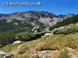 [P05] Asaltul spre lac » foto by Marius 72
 - 
<span class="allrVoted glyphicon glyphicon-heart hidden" id="av1245659"></span>
<a class="m-l-10 hidden" id="sv1245659" onclick="voting_Foto_DelVot(,1245659,3180)" role="button">șterge vot <span class="glyphicon glyphicon-remove"></span></a>
<a id="v91245659" class=" c-red"  onclick="voting_Foto_SetVot(1245659)" role="button"><span class="glyphicon glyphicon-heart-empty"></span> <b>LIKE</b> = Votează poza</a> <img class="hidden"  id="f1245659W9" src="/imagini/loader.gif" border="0" /><span class="AjErrMes hidden" id="e1245659ErM"></span>