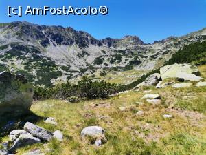 [P08] În munți » foto by Marius 72
 - 
<span class="allrVoted glyphicon glyphicon-heart hidden" id="av1245662"></span>
<a class="m-l-10 hidden" id="sv1245662" onclick="voting_Foto_DelVot(,1245662,3180)" role="button">șterge vot <span class="glyphicon glyphicon-remove"></span></a>
<a id="v91245662" class=" c-red"  onclick="voting_Foto_SetVot(1245662)" role="button"><span class="glyphicon glyphicon-heart-empty"></span> <b>LIKE</b> = Votează poza</a> <img class="hidden"  id="f1245662W9" src="/imagini/loader.gif" border="0" /><span class="AjErrMes hidden" id="e1245662ErM"></span>