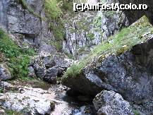 [P07] Muntii Retezat - Cheile Butii » foto by turist.real
 - 
<span class="allrVoted glyphicon glyphicon-heart hidden" id="av188996"></span>
<a class="m-l-10 hidden" id="sv188996" onclick="voting_Foto_DelVot(,188996,3180)" role="button">șterge vot <span class="glyphicon glyphicon-remove"></span></a>
<a id="v9188996" class=" c-red"  onclick="voting_Foto_SetVot(188996)" role="button"><span class="glyphicon glyphicon-heart-empty"></span> <b>LIKE</b> = Votează poza</a> <img class="hidden"  id="f188996W9" src="/imagini/loader.gif" border="0" /><span class="AjErrMes hidden" id="e188996ErM"></span>