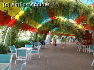 [P22] Gradina cu flori » foto by iancusabin
 - 
<span class="allrVoted glyphicon glyphicon-heart hidden" id="av1293420"></span>
<a class="m-l-10 hidden" id="sv1293420" onclick="voting_Foto_DelVot(,1293420,3199)" role="button">șterge vot <span class="glyphicon glyphicon-remove"></span></a>
<a id="v91293420" class=" c-red"  onclick="voting_Foto_SetVot(1293420)" role="button"><span class="glyphicon glyphicon-heart-empty"></span> <b>LIKE</b> = Votează poza</a> <img class="hidden"  id="f1293420W9" src="/imagini/loader.gif" border="0" /><span class="AjErrMes hidden" id="e1293420ErM"></span>