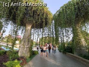 [P23] Gradina cu flori » foto by iancusabin
 - 
<span class="allrVoted glyphicon glyphicon-heart hidden" id="av1293421"></span>
<a class="m-l-10 hidden" id="sv1293421" onclick="voting_Foto_DelVot(,1293421,3199)" role="button">șterge vot <span class="glyphicon glyphicon-remove"></span></a>
<a id="v91293421" class=" c-red"  onclick="voting_Foto_SetVot(1293421)" role="button"><span class="glyphicon glyphicon-heart-empty"></span> <b>LIKE</b> = Votează poza</a> <img class="hidden"  id="f1293421W9" src="/imagini/loader.gif" border="0" /><span class="AjErrMes hidden" id="e1293421ErM"></span>