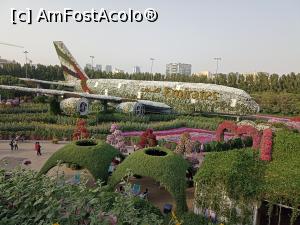 [P25] Gradina cu flori » foto by iancusabin
 - 
<span class="allrVoted glyphicon glyphicon-heart hidden" id="av1293423"></span>
<a class="m-l-10 hidden" id="sv1293423" onclick="voting_Foto_DelVot(,1293423,3199)" role="button">șterge vot <span class="glyphicon glyphicon-remove"></span></a>
<a id="v91293423" class=" c-red"  onclick="voting_Foto_SetVot(1293423)" role="button"><span class="glyphicon glyphicon-heart-empty"></span> <b>LIKE</b> = Votează poza</a> <img class="hidden"  id="f1293423W9" src="/imagini/loader.gif" border="0" /><span class="AjErrMes hidden" id="e1293423ErM"></span>