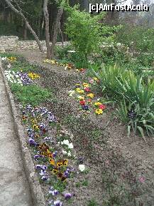 [P10]  -- <small>// FĂRĂ DESCRIERE</small> » foto by LoredanaG*
 - 
<span class="allrVoted glyphicon glyphicon-heart hidden" id="av199937"></span>
<a class="m-l-10 hidden" id="sv199937" onclick="voting_Foto_DelVot(,199937,3210)" role="button">șterge vot <span class="glyphicon glyphicon-remove"></span></a>
<a id="v9199937" class=" c-red"  onclick="voting_Foto_SetVot(199937)" role="button"><span class="glyphicon glyphicon-heart-empty"></span> <b>LIKE</b> = Votează poza</a> <img class="hidden"  id="f199937W9" src="/imagini/loader.gif" border="0" /><span class="AjErrMes hidden" id="e199937ErM"></span>