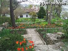 [P12]  -- <small>// FĂRĂ DESCRIERE</small> » foto by LoredanaG*
 - 
<span class="allrVoted glyphicon glyphicon-heart hidden" id="av199939"></span>
<a class="m-l-10 hidden" id="sv199939" onclick="voting_Foto_DelVot(,199939,3210)" role="button">șterge vot <span class="glyphicon glyphicon-remove"></span></a>
<a id="v9199939" class=" c-red"  onclick="voting_Foto_SetVot(199939)" role="button"><span class="glyphicon glyphicon-heart-empty"></span> <b>LIKE</b> = Votează poza</a> <img class="hidden"  id="f199939W9" src="/imagini/loader.gif" border="0" /><span class="AjErrMes hidden" id="e199939ErM"></span>