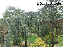 [P14]  -- <small>// FĂRĂ DESCRIERE</small> » foto by LoredanaG*
 - 
<span class="allrVoted glyphicon glyphicon-heart hidden" id="av199941"></span>
<a class="m-l-10 hidden" id="sv199941" onclick="voting_Foto_DelVot(,199941,3210)" role="button">șterge vot <span class="glyphicon glyphicon-remove"></span></a>
<a id="v9199941" class=" c-red"  onclick="voting_Foto_SetVot(199941)" role="button"><span class="glyphicon glyphicon-heart-empty"></span> <b>LIKE</b> = Votează poza</a> <img class="hidden"  id="f199941W9" src="/imagini/loader.gif" border="0" /><span class="AjErrMes hidden" id="e199941ErM"></span>