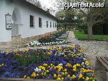 [P17]  -- <small>// FĂRĂ DESCRIERE</small> » foto by LoredanaG*
 - 
<span class="allrVoted glyphicon glyphicon-heart hidden" id="av199944"></span>
<a class="m-l-10 hidden" id="sv199944" onclick="voting_Foto_DelVot(,199944,3210)" role="button">șterge vot <span class="glyphicon glyphicon-remove"></span></a>
<a id="v9199944" class=" c-red"  onclick="voting_Foto_SetVot(199944)" role="button"><span class="glyphicon glyphicon-heart-empty"></span> <b>LIKE</b> = Votează poza</a> <img class="hidden"  id="f199944W9" src="/imagini/loader.gif" border="0" /><span class="AjErrMes hidden" id="e199944ErM"></span>