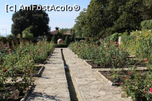 [P41] Balcic, Castelul și Grădina Botanică, Grădina Trandafirilor » foto by mprofeanu
 - 
<span class="allrVoted glyphicon glyphicon-heart hidden" id="av1217987"></span>
<a class="m-l-10 hidden" id="sv1217987" onclick="voting_Foto_DelVot(,1217987,3210)" role="button">șterge vot <span class="glyphicon glyphicon-remove"></span></a>
<a id="v91217987" class=" c-red"  onclick="voting_Foto_SetVot(1217987)" role="button"><span class="glyphicon glyphicon-heart-empty"></span> <b>LIKE</b> = Votează poza</a> <img class="hidden"  id="f1217987W9" src="/imagini/loader.gif" border="0" /><span class="AjErrMes hidden" id="e1217987ErM"></span>