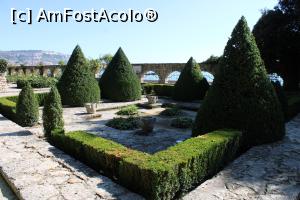 [P43] Balcic, Castelul și Grădina Botanică, Gradina Curtea Englezească » foto by mprofeanu
 - 
<span class="allrVoted glyphicon glyphicon-heart hidden" id="av1217989"></span>
<a class="m-l-10 hidden" id="sv1217989" onclick="voting_Foto_DelVot(,1217989,3210)" role="button">șterge vot <span class="glyphicon glyphicon-remove"></span></a>
<a id="v91217989" class=" c-red"  onclick="voting_Foto_SetVot(1217989)" role="button"><span class="glyphicon glyphicon-heart-empty"></span> <b>LIKE</b> = Votează poza</a> <img class="hidden"  id="f1217989W9" src="/imagini/loader.gif" border="0" /><span class="AjErrMes hidden" id="e1217989ErM"></span>