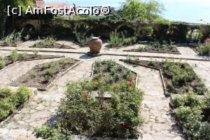 [P47] Balcic, Castelul și Grădina Botanică, Aleea cu Crini Regali » foto by mprofeanu
 - 
<span class="allrVoted glyphicon glyphicon-heart hidden" id="av1217993"></span>
<a class="m-l-10 hidden" id="sv1217993" onclick="voting_Foto_DelVot(,1217993,3210)" role="button">șterge vot <span class="glyphicon glyphicon-remove"></span></a>
<a id="v91217993" class=" c-red"  onclick="voting_Foto_SetVot(1217993)" role="button"><span class="glyphicon glyphicon-heart-empty"></span> <b>LIKE</b> = Votează poza</a> <img class="hidden"  id="f1217993W9" src="/imagini/loader.gif" border="0" /><span class="AjErrMes hidden" id="e1217993ErM"></span>