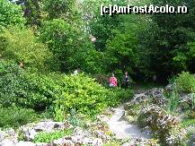 [P11] Balcic - gradina cu aspect salbatic (chiar in dreapta intrarii) » foto by diana-s
 - 
<span class="allrVoted glyphicon glyphicon-heart hidden" id="av301587"></span>
<a class="m-l-10 hidden" id="sv301587" onclick="voting_Foto_DelVot(,301587,3210)" role="button">șterge vot <span class="glyphicon glyphicon-remove"></span></a>
<a id="v9301587" class=" c-red"  onclick="voting_Foto_SetVot(301587)" role="button"><span class="glyphicon glyphicon-heart-empty"></span> <b>LIKE</b> = Votează poza</a> <img class="hidden"  id="f301587W9" src="/imagini/loader.gif" border="0" /><span class="AjErrMes hidden" id="e301587ErM"></span>