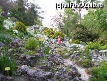 [P12] Balcic - gradina salbatica » foto by diana-s
 - 
<span class="allrVoted glyphicon glyphicon-heart hidden" id="av301588"></span>
<a class="m-l-10 hidden" id="sv301588" onclick="voting_Foto_DelVot(,301588,3210)" role="button">șterge vot <span class="glyphicon glyphicon-remove"></span></a>
<a id="v9301588" class=" c-red"  onclick="voting_Foto_SetVot(301588)" role="button"><span class="glyphicon glyphicon-heart-empty"></span> <b>LIKE</b> = Votează poza</a> <img class="hidden"  id="f301588W9" src="/imagini/loader.gif" border="0" /><span class="AjErrMes hidden" id="e301588ErM"></span>