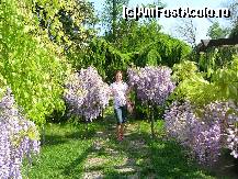 [P16] Balcic in mai » foto by diana-s
 - 
<span class="allrVoted glyphicon glyphicon-heart hidden" id="av301592"></span>
<a class="m-l-10 hidden" id="sv301592" onclick="voting_Foto_DelVot(,301592,3210)" role="button">șterge vot <span class="glyphicon glyphicon-remove"></span></a>
<a id="v9301592" class=" c-red"  onclick="voting_Foto_SetVot(301592)" role="button"><span class="glyphicon glyphicon-heart-empty"></span> <b>LIKE</b> = Votează poza</a> <img class="hidden"  id="f301592W9" src="/imagini/loader.gif" border="0" /><span class="AjErrMes hidden" id="e301592ErM"></span>