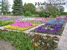 [P21] Balcic - gradina botanica » foto by diana-s
 - 
<span class="allrVoted glyphicon glyphicon-heart hidden" id="av301597"></span>
<a class="m-l-10 hidden" id="sv301597" onclick="voting_Foto_DelVot(,301597,3210)" role="button">șterge vot <span class="glyphicon glyphicon-remove"></span></a>
<a id="v9301597" class=" c-red"  onclick="voting_Foto_SetVot(301597)" role="button"><span class="glyphicon glyphicon-heart-empty"></span> <b>LIKE</b> = Votează poza</a> <img class="hidden"  id="f301597W9" src="/imagini/loader.gif" border="0" /><span class="AjErrMes hidden" id="e301597ErM"></span>
