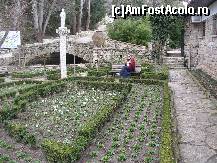 [P05] Balcic golas in martie » foto by diana-s
 - 
<span class="allrVoted glyphicon glyphicon-heart hidden" id="av301581"></span>
<a class="m-l-10 hidden" id="sv301581" onclick="voting_Foto_DelVot(,301581,3210)" role="button">șterge vot <span class="glyphicon glyphicon-remove"></span></a>
<a id="v9301581" class=" c-red"  onclick="voting_Foto_SetVot(301581)" role="button"><span class="glyphicon glyphicon-heart-empty"></span> <b>LIKE</b> = Votează poza</a> <img class="hidden"  id="f301581W9" src="/imagini/loader.gif" border="0" /><span class="AjErrMes hidden" id="e301581ErM"></span>