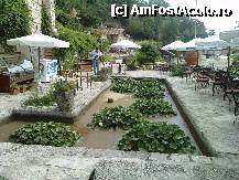 [P49] lac cu nuferi in fata fumatoriei, zona de la nivelul marii » foto by essib*
 - 
<span class="allrVoted glyphicon glyphicon-heart hidden" id="av288199"></span>
<a class="m-l-10 hidden" id="sv288199" onclick="voting_Foto_DelVot(,288199,3210)" role="button">șterge vot <span class="glyphicon glyphicon-remove"></span></a>
<a id="v9288199" class=" c-red"  onclick="voting_Foto_SetVot(288199)" role="button"><span class="glyphicon glyphicon-heart-empty"></span> <b>LIKE</b> = Votează poza</a> <img class="hidden"  id="f288199W9" src="/imagini/loader.gif" border="0" /><span class="AjErrMes hidden" id="e288199ErM"></span>