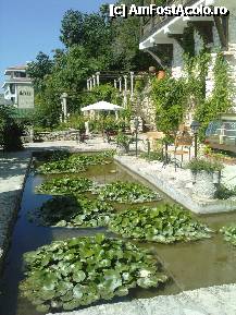 [P55] lacul cu nuferi din fata fumatoriei intr-o zi in care in prealabil plouase, iar pe fundal se poate observa coloanele din gradina lui Alaxandru (partea de sus), si cele de la aleea secolelor (partea de jos) » foto by essib*
 - 
<span class="allrVoted glyphicon glyphicon-heart hidden" id="av288205"></span>
<a class="m-l-10 hidden" id="sv288205" onclick="voting_Foto_DelVot(,288205,3210)" role="button">șterge vot <span class="glyphicon glyphicon-remove"></span></a>
<a id="v9288205" class=" c-red"  onclick="voting_Foto_SetVot(288205)" role="button"><span class="glyphicon glyphicon-heart-empty"></span> <b>LIKE</b> = Votează poza</a> <img class="hidden"  id="f288205W9" src="/imagini/loader.gif" border="0" /><span class="AjErrMes hidden" id="e288205ErM"></span>
