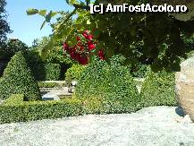 [P59] Balcik - din gradina de trandafiri catre gradina englezeasca » foto by essib*
 - 
<span class="allrVoted glyphicon glyphicon-heart hidden" id="av288212"></span>
<a class="m-l-10 hidden" id="sv288212" onclick="voting_Foto_DelVot(,288212,3210)" role="button">șterge vot <span class="glyphicon glyphicon-remove"></span></a>
<a id="v9288212" class=" c-red"  onclick="voting_Foto_SetVot(288212)" role="button"><span class="glyphicon glyphicon-heart-empty"></span> <b>LIKE</b> = Votează poza</a> <img class="hidden"  id="f288212W9" src="/imagini/loader.gif" border="0" /><span class="AjErrMes hidden" id="e288212ErM"></span>