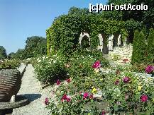 [P61] Balcik - templul apei (baia romana) vazuta din gradina de trandafiri » foto by essib*
 - 
<span class="allrVoted glyphicon glyphicon-heart hidden" id="av288396"></span>
<a class="m-l-10 hidden" id="sv288396" onclick="voting_Foto_DelVot(,288396,3210)" role="button">șterge vot <span class="glyphicon glyphicon-remove"></span></a>
<a id="v9288396" class=" c-red"  onclick="voting_Foto_SetVot(288396)" role="button"><span class="glyphicon glyphicon-heart-empty"></span> <b>LIKE</b> = Votează poza</a> <img class="hidden"  id="f288396W9" src="/imagini/loader.gif" border="0" /><span class="AjErrMes hidden" id="e288396ErM"></span>