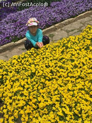 [P18] Denisa in Gradina Divina » foto by Dan&Ema
 - 
<span class="allrVoted glyphicon glyphicon-heart hidden" id="av858891"></span>
<a class="m-l-10 hidden" id="sv858891" onclick="voting_Foto_DelVot(,858891,3210)" role="button">șterge vot <span class="glyphicon glyphicon-remove"></span></a>
<a id="v9858891" class=" c-red"  onclick="voting_Foto_SetVot(858891)" role="button"><span class="glyphicon glyphicon-heart-empty"></span> <b>LIKE</b> = Votează poza</a> <img class="hidden"  id="f858891W9" src="/imagini/loader.gif" border="0" /><span class="AjErrMes hidden" id="e858891ErM"></span>