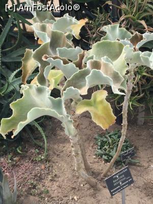 [P20] In gradina lui Allah » foto by Dan&Ema
 - 
<span class="allrVoted glyphicon glyphicon-heart hidden" id="av858895"></span>
<a class="m-l-10 hidden" id="sv858895" onclick="voting_Foto_DelVot(,858895,3210)" role="button">șterge vot <span class="glyphicon glyphicon-remove"></span></a>
<a id="v9858895" class=" c-red"  onclick="voting_Foto_SetVot(858895)" role="button"><span class="glyphicon glyphicon-heart-empty"></span> <b>LIKE</b> = Votează poza</a> <img class="hidden"  id="f858895W9" src="/imagini/loader.gif" border="0" /><span class="AjErrMes hidden" id="e858895ErM"></span>