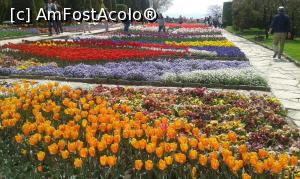 [P25] Gradina Divina » foto by Dan&Ema
 - 
<span class="allrVoted glyphicon glyphicon-heart hidden" id="av858904"></span>
<a class="m-l-10 hidden" id="sv858904" onclick="voting_Foto_DelVot(,858904,3210)" role="button">șterge vot <span class="glyphicon glyphicon-remove"></span></a>
<a id="v9858904" class=" c-red"  onclick="voting_Foto_SetVot(858904)" role="button"><span class="glyphicon glyphicon-heart-empty"></span> <b>LIKE</b> = Votează poza</a> <img class="hidden"  id="f858904W9" src="/imagini/loader.gif" border="0" /><span class="AjErrMes hidden" id="e858904ErM"></span>