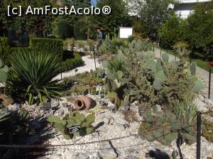 [P10] Castelul Reginei Maria - gradinile - prezenta cactusilor ne arata ca ne apropiem de sera » foto by mishu
 - 
<span class="allrVoted glyphicon glyphicon-heart hidden" id="av798900"></span>
<a class="m-l-10 hidden" id="sv798900" onclick="voting_Foto_DelVot(,798900,3210)" role="button">șterge vot <span class="glyphicon glyphicon-remove"></span></a>
<a id="v9798900" class=" c-red"  onclick="voting_Foto_SetVot(798900)" role="button"><span class="glyphicon glyphicon-heart-empty"></span> <b>LIKE</b> = Votează poza</a> <img class="hidden"  id="f798900W9" src="/imagini/loader.gif" border="0" /><span class="AjErrMes hidden" id="e798900ErM"></span>