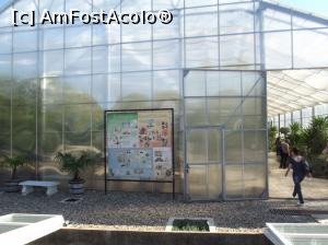 [P11] Castelul Reginei Maria - sera cu cactusi si euphorbia » foto by mishu
 - 
<span class="allrVoted glyphicon glyphicon-heart hidden" id="av798901"></span>
<a class="m-l-10 hidden" id="sv798901" onclick="voting_Foto_DelVot(,798901,3210)" role="button">șterge vot <span class="glyphicon glyphicon-remove"></span></a>
<a id="v9798901" class=" c-red"  onclick="voting_Foto_SetVot(798901)" role="button"><span class="glyphicon glyphicon-heart-empty"></span> <b>LIKE</b> = Votează poza</a> <img class="hidden"  id="f798901W9" src="/imagini/loader.gif" border="0" /><span class="AjErrMes hidden" id="e798901ErM"></span>