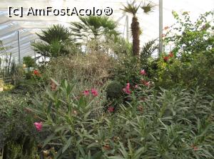 [P13] Castelul Reginei Maria - sera » foto by mishu
 - 
<span class="allrVoted glyphicon glyphicon-heart hidden" id="av798903"></span>
<a class="m-l-10 hidden" id="sv798903" onclick="voting_Foto_DelVot(,798903,3210)" role="button">șterge vot <span class="glyphicon glyphicon-remove"></span></a>
<a id="v9798903" class=" c-red"  onclick="voting_Foto_SetVot(798903)" role="button"><span class="glyphicon glyphicon-heart-empty"></span> <b>LIKE</b> = Votează poza</a> <img class="hidden"  id="f798903W9" src="/imagini/loader.gif" border="0" /><span class="AjErrMes hidden" id="e798903ErM"></span>