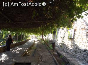 [P27] Castelul Reginei Maria - Aleea vinului » foto by mishu
 - 
<span class="allrVoted glyphicon glyphicon-heart hidden" id="av798920"></span>
<a class="m-l-10 hidden" id="sv798920" onclick="voting_Foto_DelVot(,798920,3210)" role="button">șterge vot <span class="glyphicon glyphicon-remove"></span></a>
<a id="v9798920" class=" c-red"  onclick="voting_Foto_SetVot(798920)" role="button"><span class="glyphicon glyphicon-heart-empty"></span> <b>LIKE</b> = Votează poza</a> <img class="hidden"  id="f798920W9" src="/imagini/loader.gif" border="0" /><span class="AjErrMes hidden" id="e798920ErM"></span>