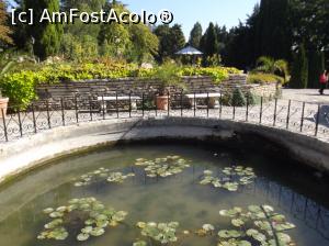 [P03] Castelul Reginei Maria - gradinile » foto by mishu
 - 
<span class="allrVoted glyphicon glyphicon-heart hidden" id="av798893"></span>
<a class="m-l-10 hidden" id="sv798893" onclick="voting_Foto_DelVot(,798893,3210)" role="button">șterge vot <span class="glyphicon glyphicon-remove"></span></a>
<a id="v9798893" class=" c-red"  onclick="voting_Foto_SetVot(798893)" role="button"><span class="glyphicon glyphicon-heart-empty"></span> <b>LIKE</b> = Votează poza</a> <img class="hidden"  id="f798893W9" src="/imagini/loader.gif" border="0" /><span class="AjErrMes hidden" id="e798893ErM"></span>