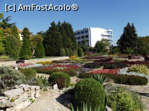 [P08] Castelul Reginei Maria - gradinile » foto by mishu
 - 
<span class="allrVoted glyphicon glyphicon-heart hidden" id="av798898"></span>
<a class="m-l-10 hidden" id="sv798898" onclick="voting_Foto_DelVot(,798898,3210)" role="button">șterge vot <span class="glyphicon glyphicon-remove"></span></a>
<a id="v9798898" class=" c-red"  onclick="voting_Foto_SetVot(798898)" role="button"><span class="glyphicon glyphicon-heart-empty"></span> <b>LIKE</b> = Votează poza</a> <img class="hidden"  id="f798898W9" src="/imagini/loader.gif" border="0" /><span class="AjErrMes hidden" id="e798898ErM"></span>