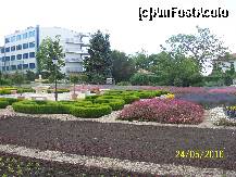 [P43] Gard viu si alte flori » foto by rora
 - 
<span class="allrVoted glyphicon glyphicon-heart hidden" id="av175333"></span>
<a class="m-l-10 hidden" id="sv175333" onclick="voting_Foto_DelVot(,175333,3210)" role="button">șterge vot <span class="glyphicon glyphicon-remove"></span></a>
<a id="v9175333" class=" c-red"  onclick="voting_Foto_SetVot(175333)" role="button"><span class="glyphicon glyphicon-heart-empty"></span> <b>LIKE</b> = Votează poza</a> <img class="hidden"  id="f175333W9" src="/imagini/loader.gif" border="0" /><span class="AjErrMes hidden" id="e175333ErM"></span>