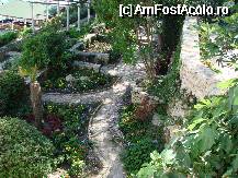 [P16] imagine de la fereastra castelului,spre gradina » foto by ms65
 - 
<span class="allrVoted glyphicon glyphicon-heart hidden" id="av60895"></span>
<a class="m-l-10 hidden" id="sv60895" onclick="voting_Foto_DelVot(,60895,3210)" role="button">șterge vot <span class="glyphicon glyphicon-remove"></span></a>
<a id="v960895" class=" c-red"  onclick="voting_Foto_SetVot(60895)" role="button"><span class="glyphicon glyphicon-heart-empty"></span> <b>LIKE</b> = Votează poza</a> <img class="hidden"  id="f60895W9" src="/imagini/loader.gif" border="0" /><span class="AjErrMes hidden" id="e60895ErM"></span>