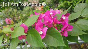 [P05]  -- <small>// FĂRĂ DESCRIERE</small> » foto by Costi0075
 - 
<span class="allrVoted glyphicon glyphicon-heart hidden" id="av772802"></span>
<a class="m-l-10 hidden" id="sv772802" onclick="voting_Foto_DelVot(,772802,3210)" role="button">șterge vot <span class="glyphicon glyphicon-remove"></span></a>
<a id="v9772802" class=" c-red"  onclick="voting_Foto_SetVot(772802)" role="button"><span class="glyphicon glyphicon-heart-empty"></span> <b>LIKE</b> = Votează poza</a> <img class="hidden"  id="f772802W9" src="/imagini/loader.gif" border="0" /><span class="AjErrMes hidden" id="e772802ErM"></span>