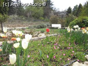 [P05] Grădina Botanică » foto by Michi
 - 
<span class="allrVoted glyphicon glyphicon-heart hidden" id="av1363927"></span>
<a class="m-l-10 hidden" id="sv1363927" onclick="voting_Foto_DelVot(,1363927,3210)" role="button">șterge vot <span class="glyphicon glyphicon-remove"></span></a>
<a id="v91363927" class=" c-red"  onclick="voting_Foto_SetVot(1363927)" role="button"><span class="glyphicon glyphicon-heart-empty"></span> <b>LIKE</b> = Votează poza</a> <img class="hidden"  id="f1363927W9" src="/imagini/loader.gif" border="0" /><span class="AjErrMes hidden" id="e1363927ErM"></span>