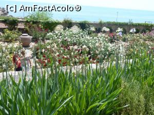 [P24] Aleea cu crini regali » foto by fredutza
 - 
<span class="allrVoted glyphicon glyphicon-heart hidden" id="av875284"></span>
<a class="m-l-10 hidden" id="sv875284" onclick="voting_Foto_DelVot(,875284,3210)" role="button">șterge vot <span class="glyphicon glyphicon-remove"></span></a>
<a id="v9875284" class=" c-red"  onclick="voting_Foto_SetVot(875284)" role="button"><span class="glyphicon glyphicon-heart-empty"></span> <b>LIKE</b> = Votează poza</a> <img class="hidden"  id="f875284W9" src="/imagini/loader.gif" border="0" /><span class="AjErrMes hidden" id="e875284ErM"></span>