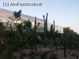 [P27] Gradina Botanica din Balcic » foto by relu mihai
 - 
<span class="allrVoted glyphicon glyphicon-heart hidden" id="av901127"></span>
<a class="m-l-10 hidden" id="sv901127" onclick="voting_Foto_DelVot(,901127,3210)" role="button">șterge vot <span class="glyphicon glyphicon-remove"></span></a>
<a id="v9901127" class=" c-red"  onclick="voting_Foto_SetVot(901127)" role="button"><span class="glyphicon glyphicon-heart-empty"></span> <b>LIKE</b> = Votează poza</a> <img class="hidden"  id="f901127W9" src="/imagini/loader.gif" border="0" /><span class="AjErrMes hidden" id="e901127ErM"></span>