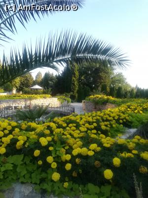 [P30] Gradina Botanica din Balcic » foto by relu mihai
 - 
<span class="allrVoted glyphicon glyphicon-heart hidden" id="av901130"></span>
<a class="m-l-10 hidden" id="sv901130" onclick="voting_Foto_DelVot(,901130,3210)" role="button">șterge vot <span class="glyphicon glyphicon-remove"></span></a>
<a id="v9901130" class=" c-red"  onclick="voting_Foto_SetVot(901130)" role="button"><span class="glyphicon glyphicon-heart-empty"></span> <b>LIKE</b> = Votează poza</a> <img class="hidden"  id="f901130W9" src="/imagini/loader.gif" border="0" /><span class="AjErrMes hidden" id="e901130ErM"></span>