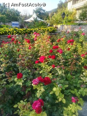 [P31] Gradina Botanica din Balcic » foto by relu mihai
 - 
<span class="allrVoted glyphicon glyphicon-heart hidden" id="av901131"></span>
<a class="m-l-10 hidden" id="sv901131" onclick="voting_Foto_DelVot(,901131,3210)" role="button">șterge vot <span class="glyphicon glyphicon-remove"></span></a>
<a id="v9901131" class=" c-red"  onclick="voting_Foto_SetVot(901131)" role="button"><span class="glyphicon glyphicon-heart-empty"></span> <b>LIKE</b> = Votează poza</a> <img class="hidden"  id="f901131W9" src="/imagini/loader.gif" border="0" /><span class="AjErrMes hidden" id="e901131ErM"></span>