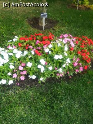 [P40] Gradina Botanica din Balcic » foto by relu mihai
 - 
<span class="allrVoted glyphicon glyphicon-heart hidden" id="av901140"></span>
<a class="m-l-10 hidden" id="sv901140" onclick="voting_Foto_DelVot(,901140,3210)" role="button">șterge vot <span class="glyphicon glyphicon-remove"></span></a>
<a id="v9901140" class=" c-red"  onclick="voting_Foto_SetVot(901140)" role="button"><span class="glyphicon glyphicon-heart-empty"></span> <b>LIKE</b> = Votează poza</a> <img class="hidden"  id="f901140W9" src="/imagini/loader.gif" border="0" /><span class="AjErrMes hidden" id="e901140ErM"></span>