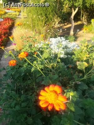 [P42] Gradina Botanica din Balcic » foto by relu mihai
 - 
<span class="allrVoted glyphicon glyphicon-heart hidden" id="av901142"></span>
<a class="m-l-10 hidden" id="sv901142" onclick="voting_Foto_DelVot(,901142,3210)" role="button">șterge vot <span class="glyphicon glyphicon-remove"></span></a>
<a id="v9901142" class=" c-red"  onclick="voting_Foto_SetVot(901142)" role="button"><span class="glyphicon glyphicon-heart-empty"></span> <b>LIKE</b> = Votează poza</a> <img class="hidden"  id="f901142W9" src="/imagini/loader.gif" border="0" /><span class="AjErrMes hidden" id="e901142ErM"></span>