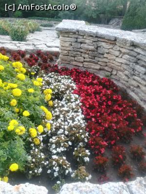 [P43] Gradina Botanica din Balcic » foto by relu mihai
 - 
<span class="allrVoted glyphicon glyphicon-heart hidden" id="av901143"></span>
<a class="m-l-10 hidden" id="sv901143" onclick="voting_Foto_DelVot(,901143,3210)" role="button">șterge vot <span class="glyphicon glyphicon-remove"></span></a>
<a id="v9901143" class=" c-red"  onclick="voting_Foto_SetVot(901143)" role="button"><span class="glyphicon glyphicon-heart-empty"></span> <b>LIKE</b> = Votează poza</a> <img class="hidden"  id="f901143W9" src="/imagini/loader.gif" border="0" /><span class="AjErrMes hidden" id="e901143ErM"></span>