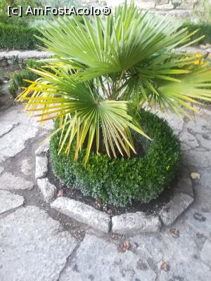 [P45] Gradina Botanica din Balcic » foto by relu mihai
 - 
<span class="allrVoted glyphicon glyphicon-heart hidden" id="av901145"></span>
<a class="m-l-10 hidden" id="sv901145" onclick="voting_Foto_DelVot(,901145,3210)" role="button">șterge vot <span class="glyphicon glyphicon-remove"></span></a>
<a id="v9901145" class=" c-red"  onclick="voting_Foto_SetVot(901145)" role="button"><span class="glyphicon glyphicon-heart-empty"></span> <b>LIKE</b> = Votează poza</a> <img class="hidden"  id="f901145W9" src="/imagini/loader.gif" border="0" /><span class="AjErrMes hidden" id="e901145ErM"></span>