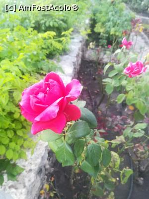 [P46] Gradina Botanica din Balcic » foto by relu mihai
 - 
<span class="allrVoted glyphicon glyphicon-heart hidden" id="av901146"></span>
<a class="m-l-10 hidden" id="sv901146" onclick="voting_Foto_DelVot(,901146,3210)" role="button">șterge vot <span class="glyphicon glyphicon-remove"></span></a>
<a id="v9901146" class=" c-red"  onclick="voting_Foto_SetVot(901146)" role="button"><span class="glyphicon glyphicon-heart-empty"></span> <b>LIKE</b> = Votează poza</a> <img class="hidden"  id="f901146W9" src="/imagini/loader.gif" border="0" /><span class="AjErrMes hidden" id="e901146ErM"></span>