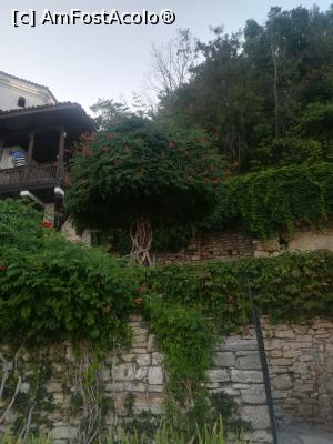 [P47] Gradina Botanica din Balcic » foto by relu mihai
 - 
<span class="allrVoted glyphicon glyphicon-heart hidden" id="av901147"></span>
<a class="m-l-10 hidden" id="sv901147" onclick="voting_Foto_DelVot(,901147,3210)" role="button">șterge vot <span class="glyphicon glyphicon-remove"></span></a>
<a id="v9901147" class=" c-red"  onclick="voting_Foto_SetVot(901147)" role="button"><span class="glyphicon glyphicon-heart-empty"></span> <b>LIKE</b> = Votează poza</a> <img class="hidden"  id="f901147W9" src="/imagini/loader.gif" border="0" /><span class="AjErrMes hidden" id="e901147ErM"></span>