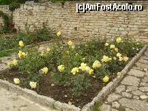 [P10] chiar daca doar trandafirii erau infloriti, locul era mirific » foto by mitzulik
 - 
<span class="allrVoted glyphicon glyphicon-heart hidden" id="av89350"></span>
<a class="m-l-10 hidden" id="sv89350" onclick="voting_Foto_DelVot(,89350,3210)" role="button">șterge vot <span class="glyphicon glyphicon-remove"></span></a>
<a id="v989350" class=" c-red"  onclick="voting_Foto_SetVot(89350)" role="button"><span class="glyphicon glyphicon-heart-empty"></span> <b>LIKE</b> = Votează poza</a> <img class="hidden"  id="f89350W9" src="/imagini/loader.gif" border="0" /><span class="AjErrMes hidden" id="e89350ErM"></span>